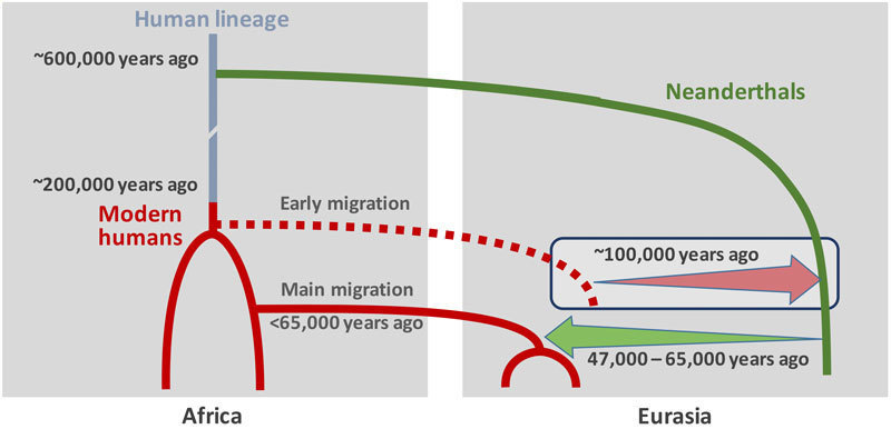 Credit: Ilan Gronau / Max-planck-Gesellschaft, München