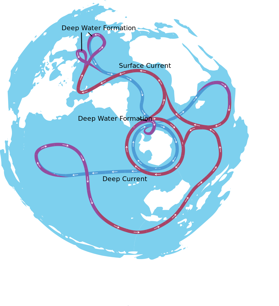 The Gulf Stream is a part of the  the world's "conveyor belt". Thermohaline circulation shown as a single body of water and the flux can be understood more easily without cutting it anywhere. This is based on a previous work of the world's oceans. Credit: Avsa / Wikipedia