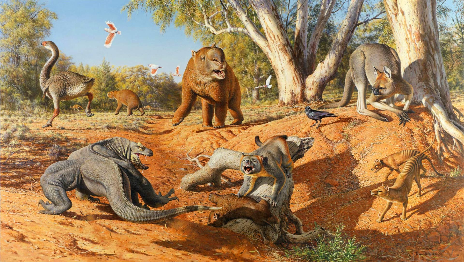 image_4554e-Australian-Megafauna.jpg