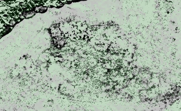 Satellite imagery shows faint signs of buried structures at Point Rosee. (Credit: DigitalGlobe)