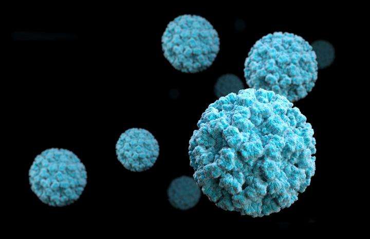 Norovirus. Credit: CDC