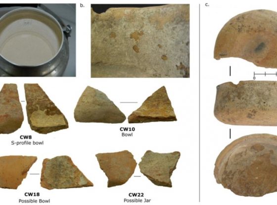 Nature Communications, DOI: 10.1038/s41467-018-06335-6.